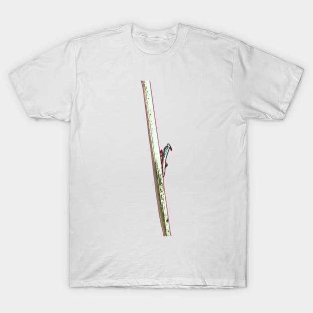 Praying mantis balancing on a stick - nature photography T-Shirt by DopamineDumpster